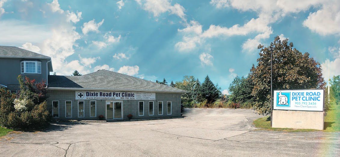 View of Dixie Road Pet Clinic from the outside.