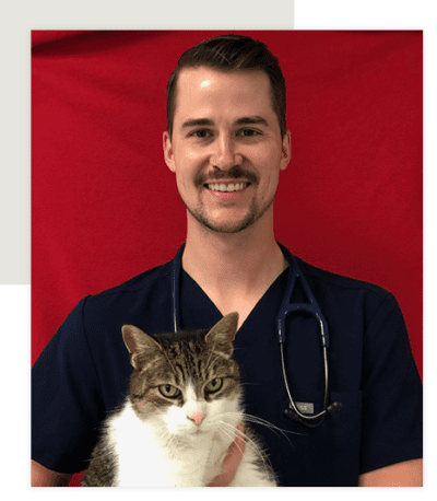 Our Veterinarians | Dixie Road Pet Clinic