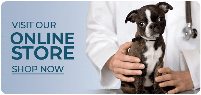 Vet Clinic in Brampton & Springdale, ON | Animal Clinic