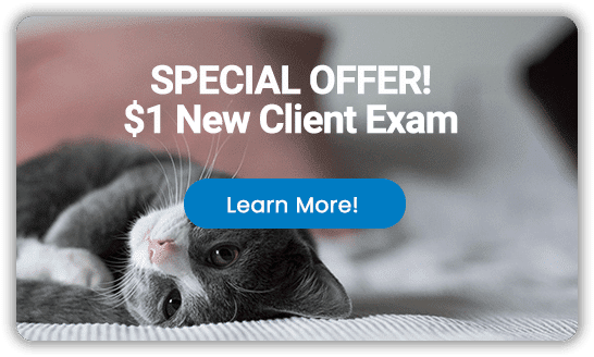 New Client $1 Special Offer