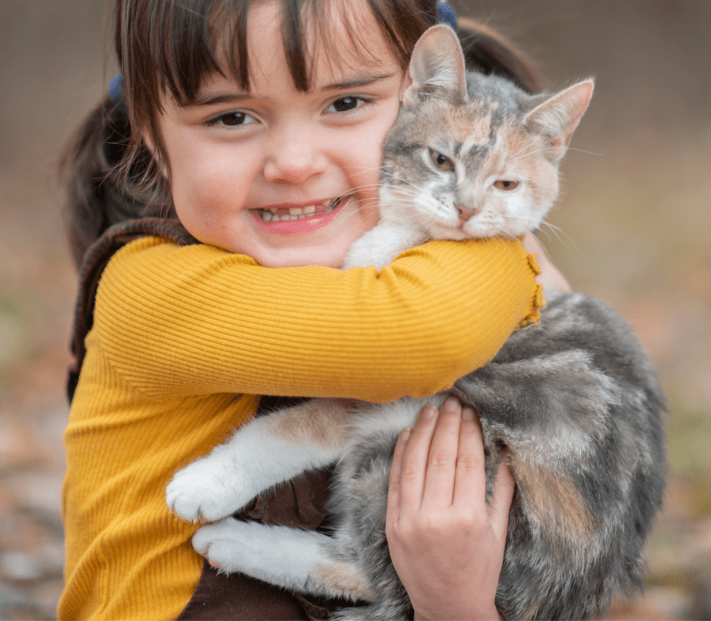Young girl in yellow long sleeves hugs a gray cat