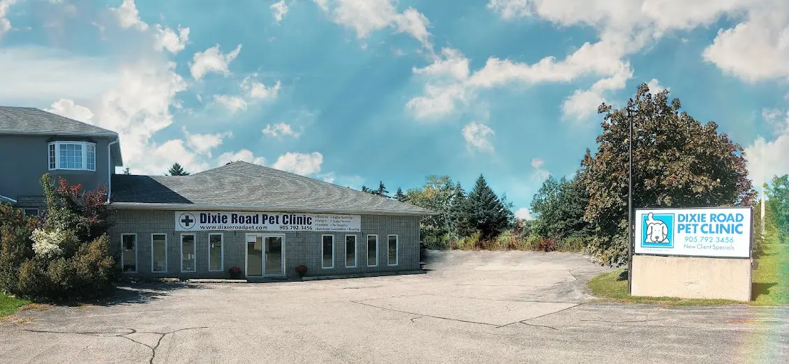 View of Dixie Road Pet Clinic from the outside.